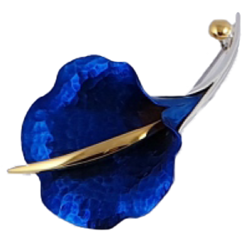 Kék titánium bross  – BBR